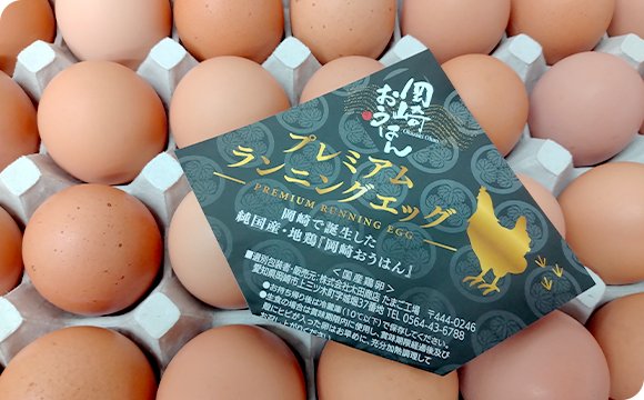岡崎で誕生した純国産・地鶏『 岡崎おうはん 』を使用